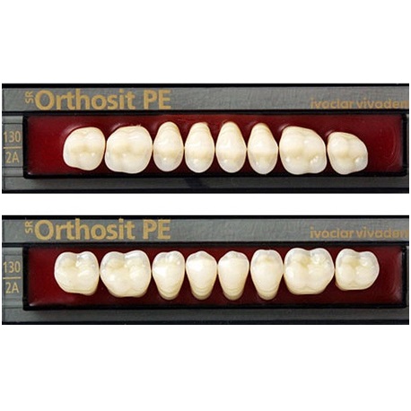 Ivoclar SR Orthosit PE N2 Mould Posterior teeth For Normal Bite(set of 8)